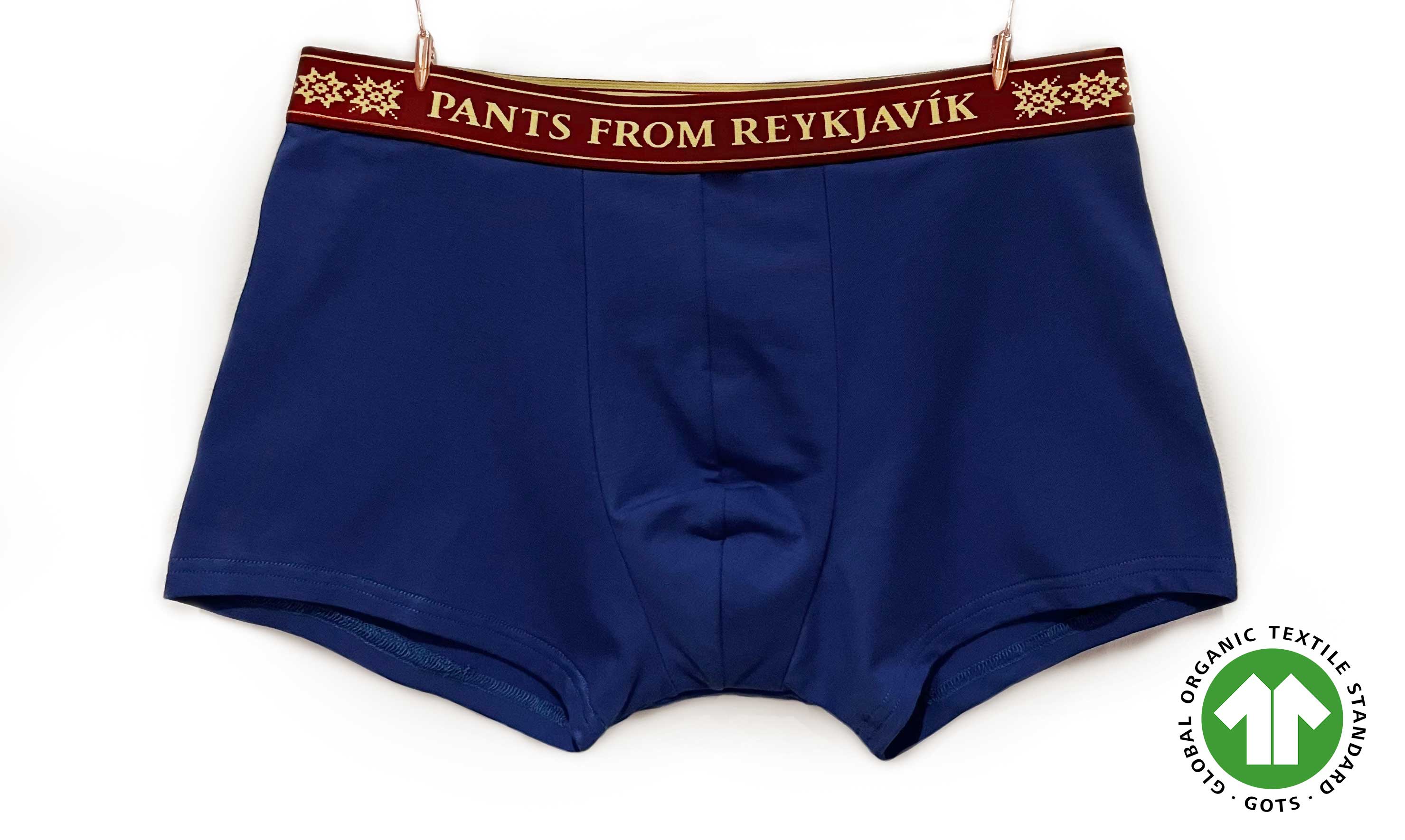 PANTS FROM REYKJAVIK - Organic cotton boxer trunks (navy)