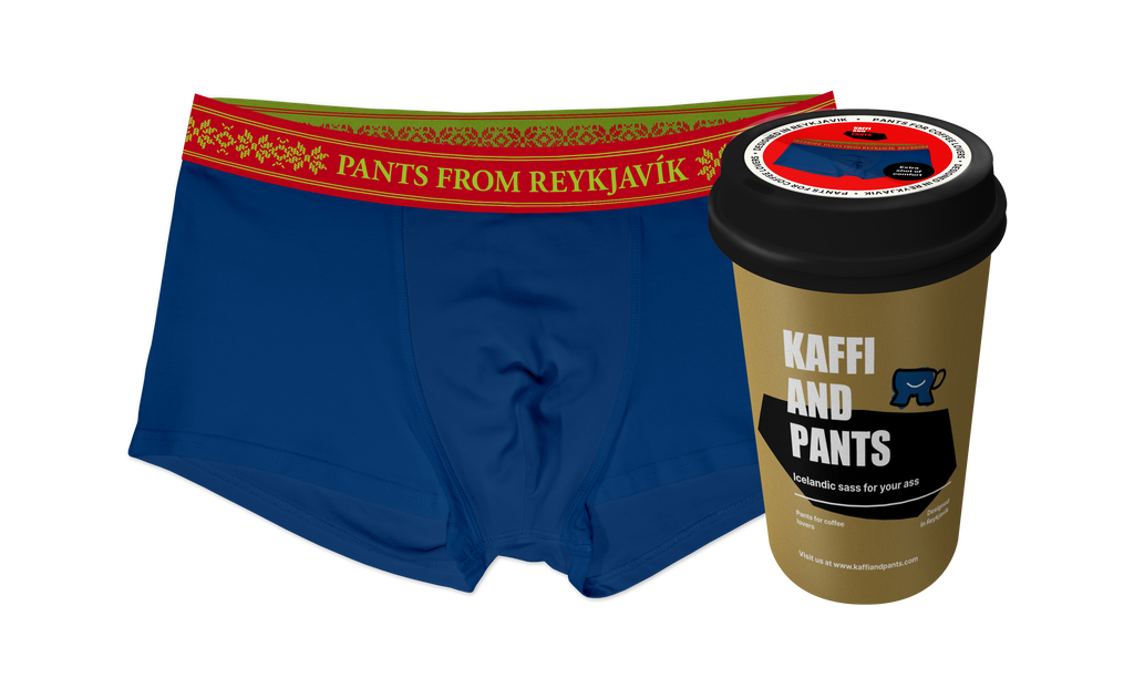 PANTS FROM REYKJAVIK - Organic cotton boxer briefs (navy)