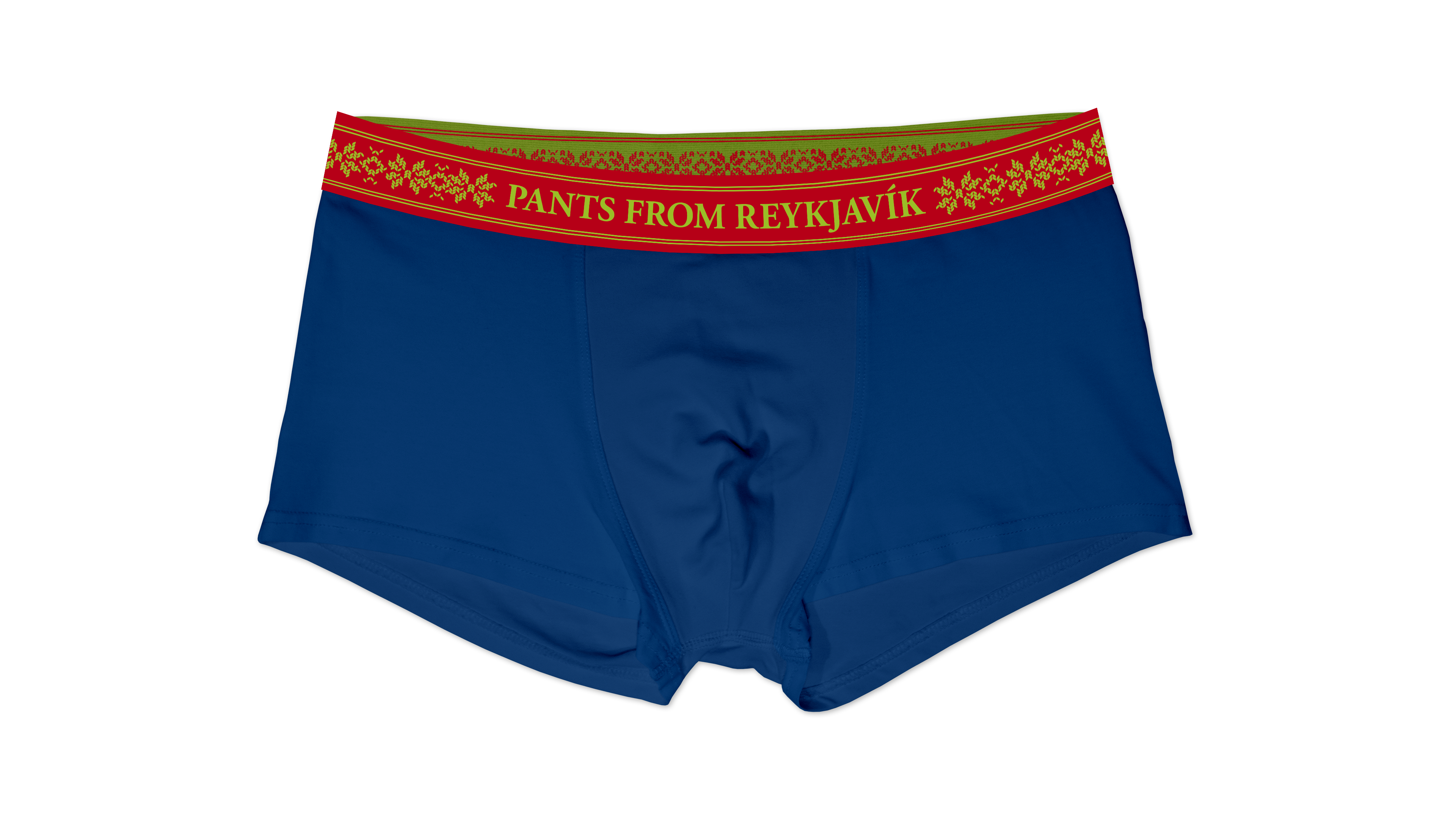 PANTS FROM REYKJAVIK - Organic cotton boxer briefs (navy)