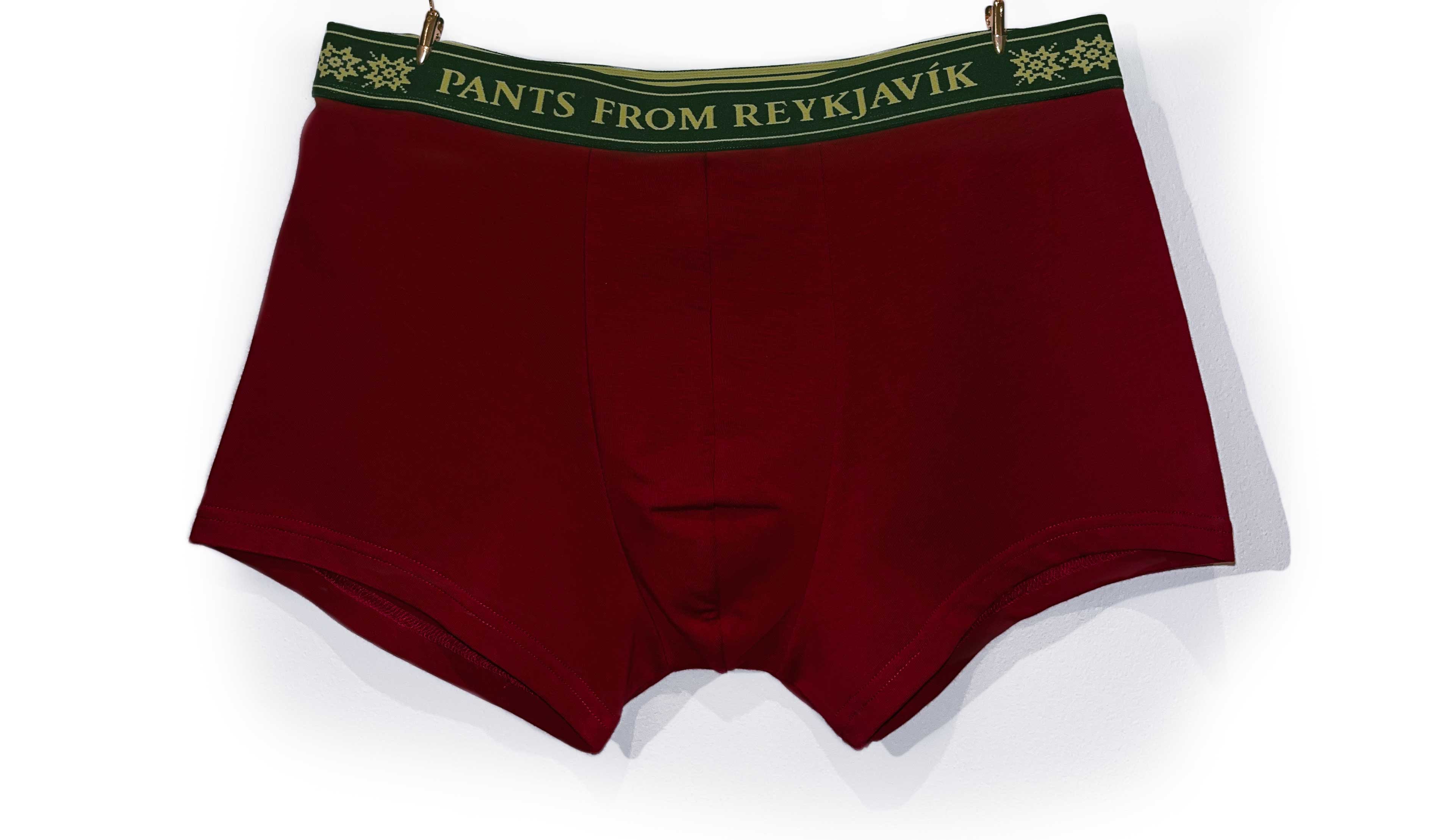 PANTS FROM REYKJAVIK - Organic cotton boxer trunks (cadmium red)